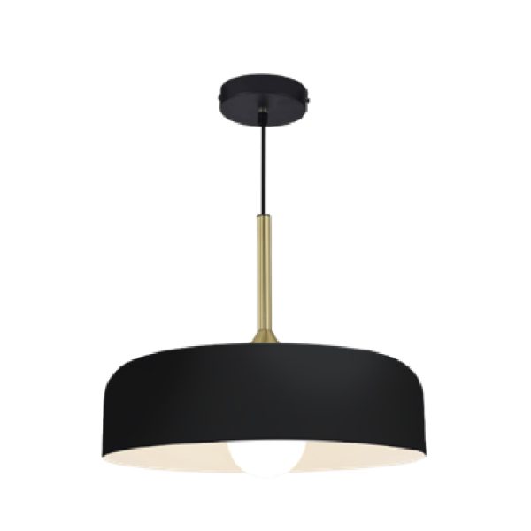 LAMPARA-COLGANTE-RENATA