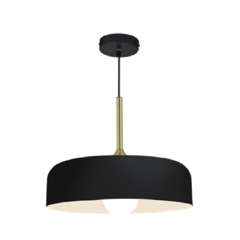 LAMPARA-COLGANTE-RENATA